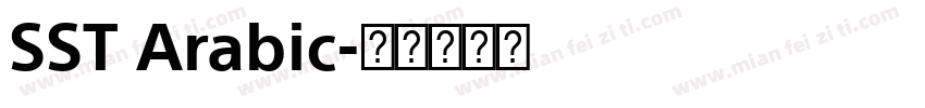 SST Arabic字体转换
